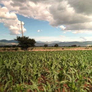 Meet your Posher, Shawn